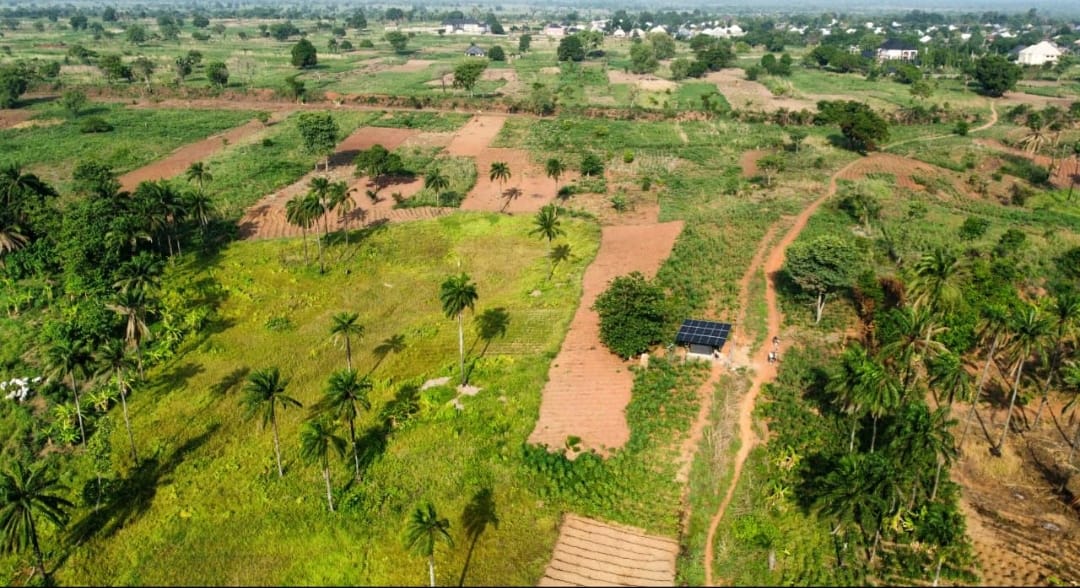 Refroidissement à énergie solaire dans 
                            la chaine de valeur agricole en Afrique