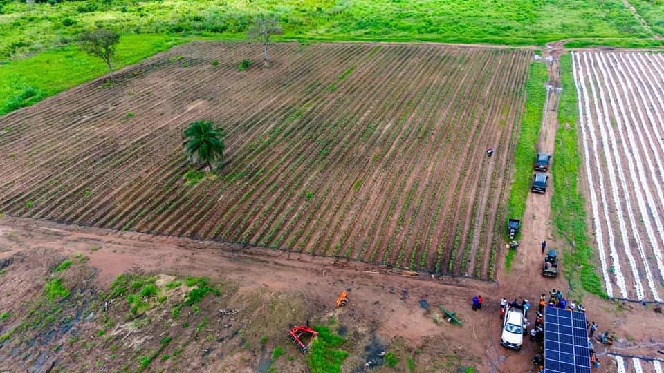 Refroidissement à énergie solaire dans 
                            la chaine de valeur agricole en Afrique