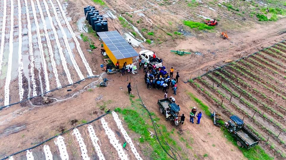 Refroidissement à énergie solaire dans 
                            la chaine de valeur agricole en Afrique