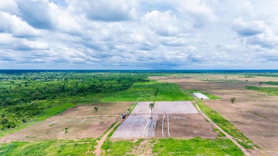 Refroidissement à énergie solaire dans 
                            la chaine de valeur agricole en Afrique